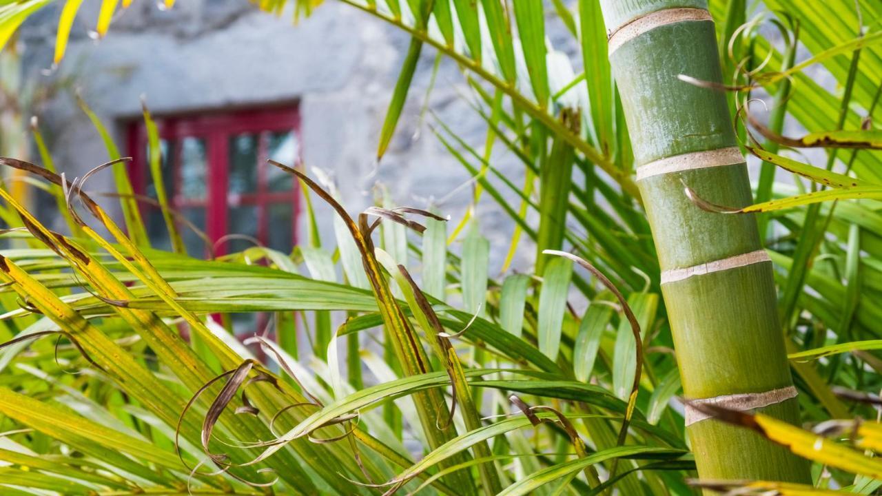 Quinta Do Torcaz Lägenhet Horta  Exteriör bild